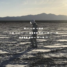 LP / Spiritualized / And Nothing Hurt / Vinyl / Limited