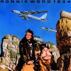 CD / Wood Ronnie / 1234