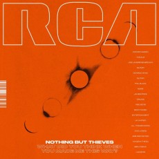 LP / Nothing But Thieves / What Did You Think When... / 12" / Vinyl
