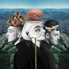 CD / Clean Bandit / What Is Love?