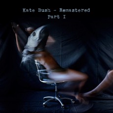7CD / Bush Kate / CD Box 1 / 7CD