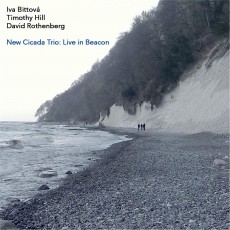 CD / Bittov/New Cicada Trio / Live in Beacon