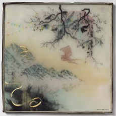 CD / Novo Amor / Birthplace / Digipack