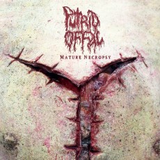 2CD / Putrid Offal / Mature Necropsy