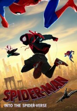 DVD / FILM / Spider-Man:Paraleln svty
