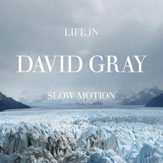 CD / Gray David / Life In Slow Motion