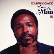 2LP / Gaye Marvin / You're The Man / Vinyl / 2LP