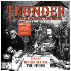 LP / Thunder / Please Remain Seated:The Others / Vinyl