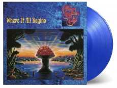 2LP / Allman Brothers Band / Where ItAll Beg. / Coloured / Vinyl / 2LP