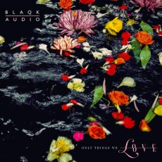 LP / Blaqk Audio / Only Things We Love / Picture / Water / Vinyl