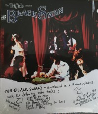 2CD / Triffids / Black Swan / 2CD