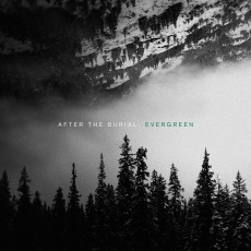 LP / After The Burial / Evergreen / Vinyl
