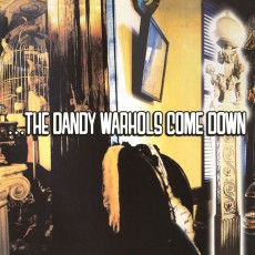 2LP / Dandy Warhols / Dandy Warhols Come Down / Vinyl / 2LP