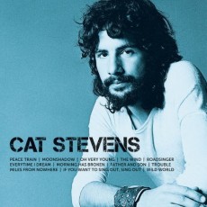 CD / Stevens Cat / Icon