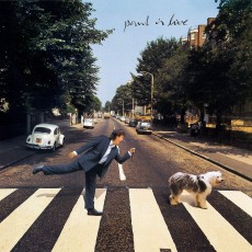 2LP / McCartney Paul / Paul is Live / Coloured / Vinyl / 2LP