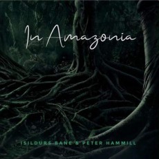LP / Isildurs Bane & Peter Hammill / In Amazonia / Vinyl