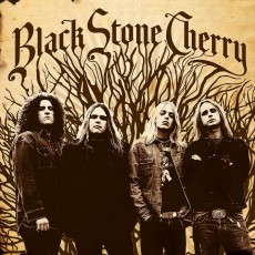 LP / Black Stone Cherry / Black Stone Cherry / Coloured / Gold / Vinyl