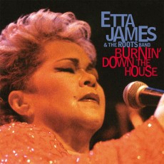 2LP / James Etta / Burnin' Down the House / Vinyl / 2LP