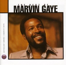 2CD / Gaye Marvin / Best Of / Anthology Series / 2CD