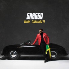 2LP / Shaggy / Wah Gwaan?! / Vinyl / 2LP / Coloured
