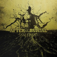 LP / After The Burial / Rareform / Vinyl / Transparent Orange