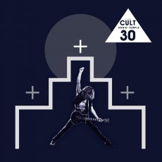 LP / Cult / Sonic Temple / 30th Anniversary / 3LP+MC