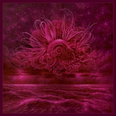 2LP / In Mourning / Gardens Of Storms / Vinyl / Purple / 2LP