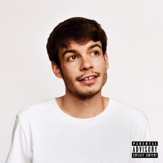 LP / Rex Orange County / Pony / Vinyl