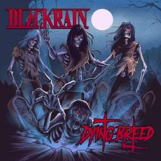 LP/CD / Blackrain / Dying Breed / Vinyl / LP+CD / Coloured
