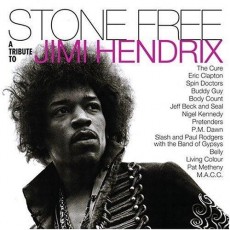 2LP / Various / Stone Free:Jimi Hendrix Tribute / Vinyl / 2LP / RSD