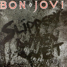 CD / Bon Jovi / Slippery When Wet