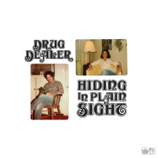 LP / Drugdealer / Hiding In Plain Sight / Coloured / Vinyl