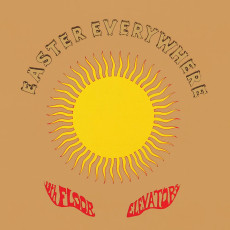 2LP / 13th Floor Elevators / Easter Everywhere / Coloured / Vinyl / 2LP