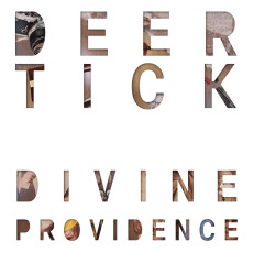 3LP / Deer Tick / Divine Providence / 11th Anniversary / Vinyl / 3LP