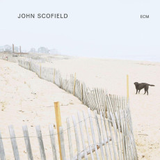 LP / Scofield John / Solo / Vinyl