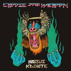 2LP / Hiatus Kaiyote / Choose Your Weapon / Vinyl / 2LP+7"