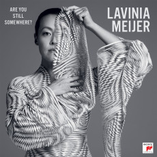 LP / Meijer Lavinia / Are You Still Somewhere? / Vinyl