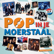 2LP / Various / Pop In Je Moerstaal / Vinyl / 2LP