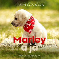 CD / Grogan John / Marley a j / MP3