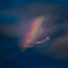 LP / Pool Kids / Pool Kids / Coloured / Vinyl