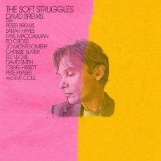 LP / Brewis David / Soft Struggles / Vinyl