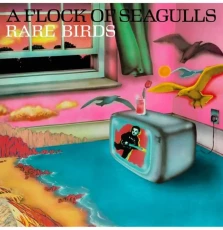 LP / Flock Of Seagulls / B-Sides,Edits And Alternate Mixes / Vinyl