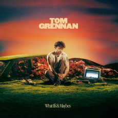 LP / Grennan Tom / What Ifs & Maybes / Vinyl