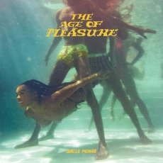 CD / Monae Janelle / Age Of Pleasure