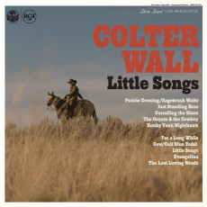 LP / Wall Colter / Little Songs / Vinyl