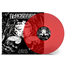 LP / Blackbriar / Dark Euphony / Coloured / Vinyl