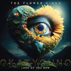 CD / Flower Kings / Look At You Now / Digipack
