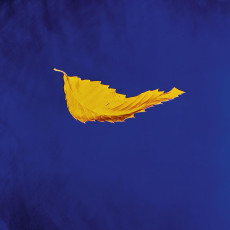 LP / New Order / True Faith / Vinyl / 12" Single