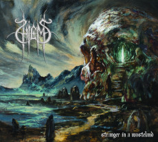 LP / Hiems / Stranger In A Wasteland / Vinyl