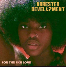 2LP / Arrested Development / For the Fkn Love / Vinyl / 2LP